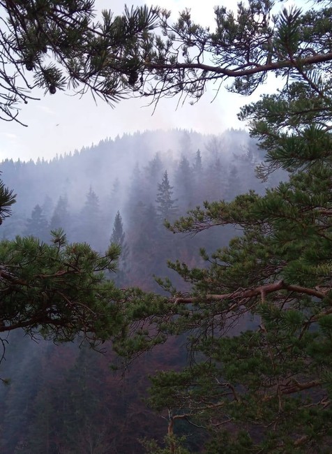 Hasiči bojujú s požiarom v doline. Zasahuje aj letka ministerstva