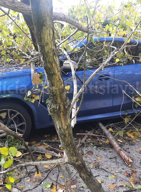 Spadnutý strom v Bratislave