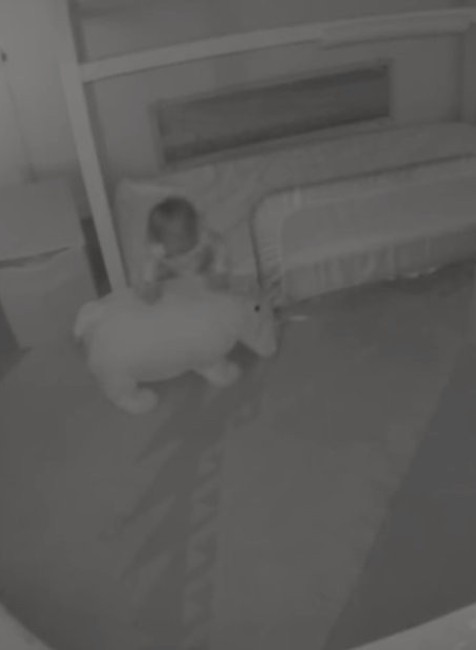 Bábätko, psíci, postieľka