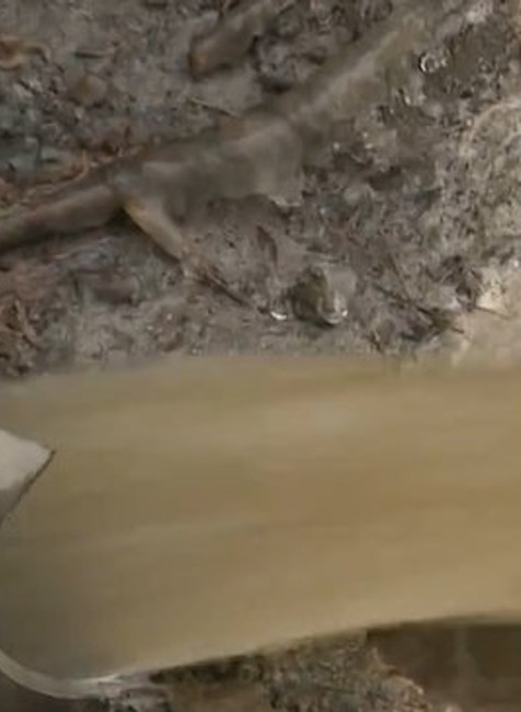 Neznesiteľný zápach z čističky