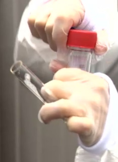 Spúšťa sa PCR testovanie kloktaním. 