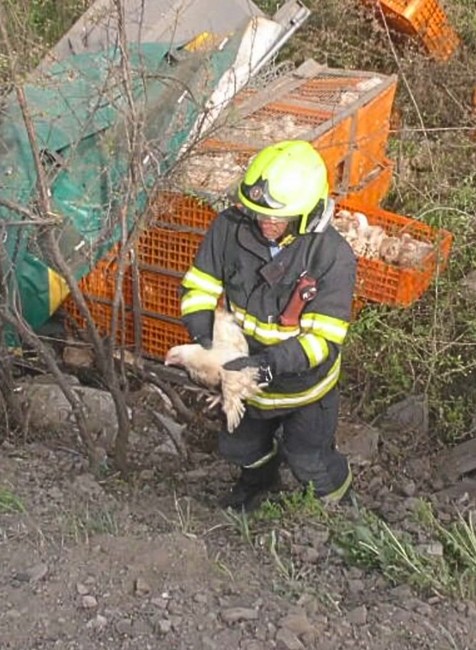 Prevrátený kamión s hydinou
