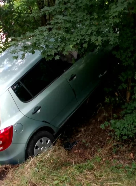 [multi] Náraz do stromov 10705