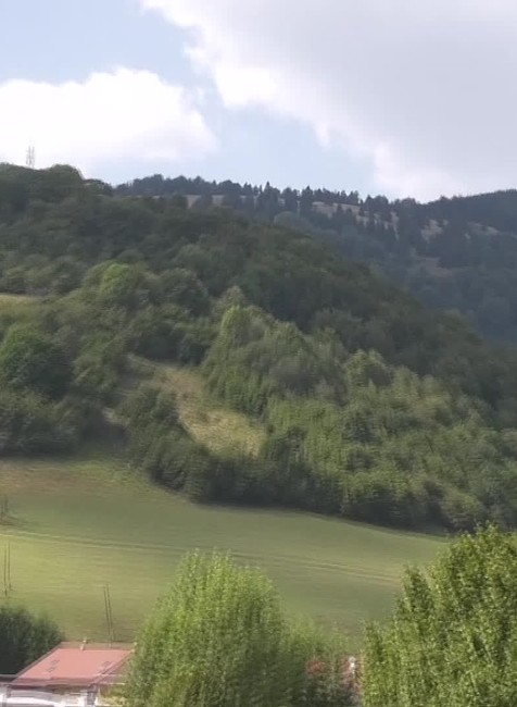 [multi] 083024XZN 1583