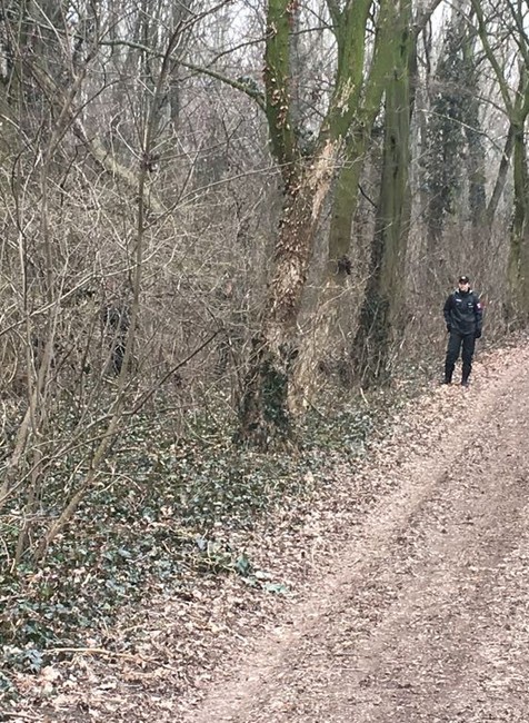 Polícia v lese vo Veľkej Mači 