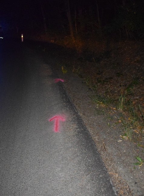 Dopravná nehoda rozvozára pizze