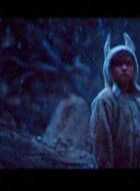 Where the wild things are 1