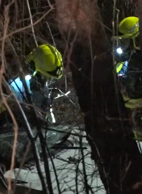 Vodič havaroval do stromov 1