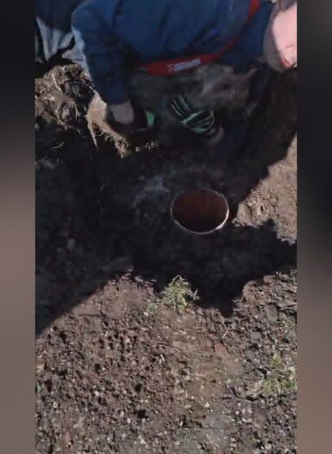 hasici psik zachrana