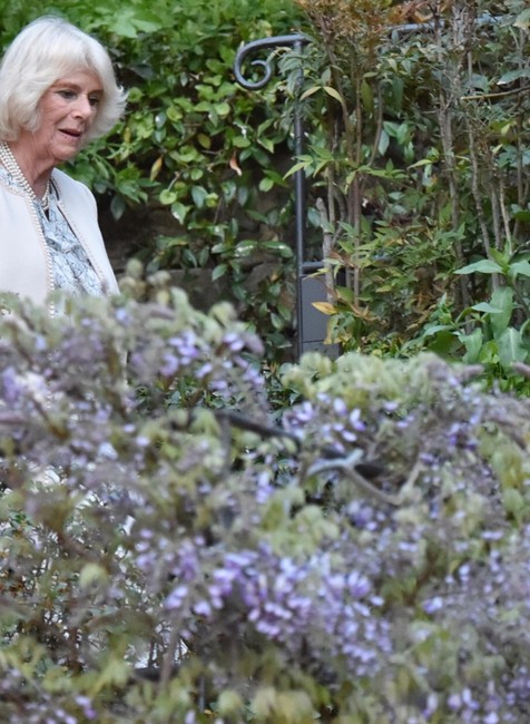 Camilla Parker Bowles