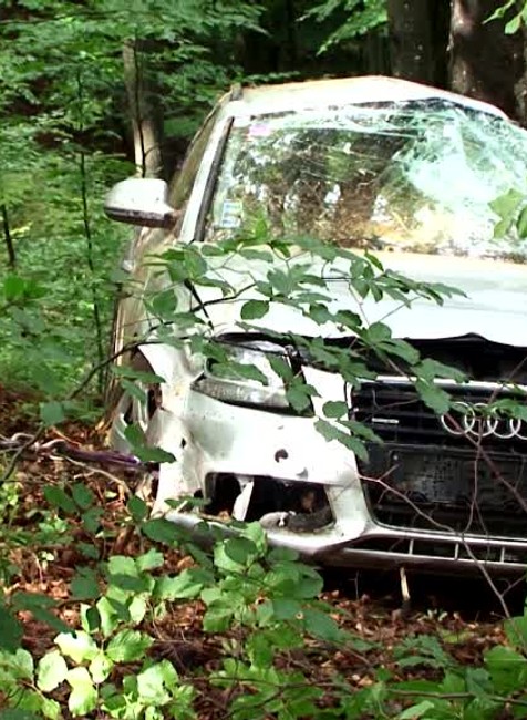 [multi] Na priechode Šutec havarovalo auto. Šmýkalo sa a skončilo v lese 10879