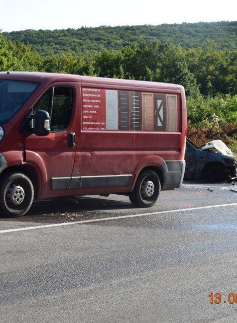 Nehodu spôsobila včela, ktorá vletela vodičke do auta 