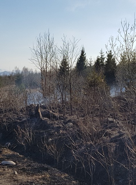 Požiar, Tatry, Tatranské Zruby