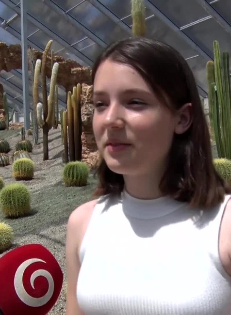 [multi] Kaktusárium 525