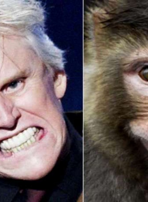 Gary Busey