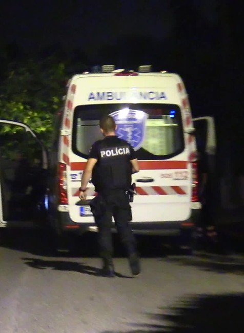 [multi] 071524AXT 8015