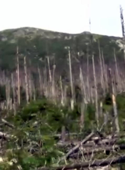 Vlani povodne, teraz sucho. Nočnou morou v Tatrách sú bezohľadní turisti