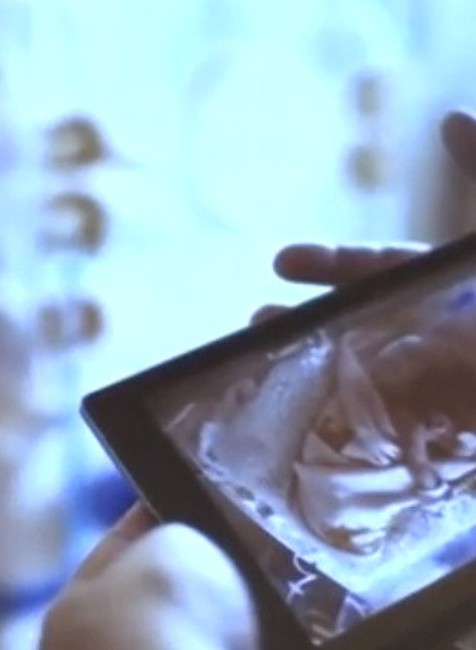 Naživo z inkubátora. Úspešný projekt odštartoval v novozámockej nemocnici