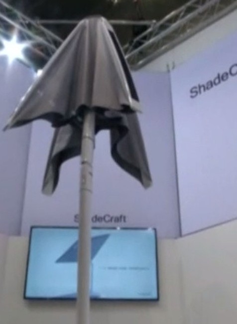 Slnečnica budúcnosti