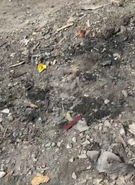 Screenshot 2024-04-10 102342