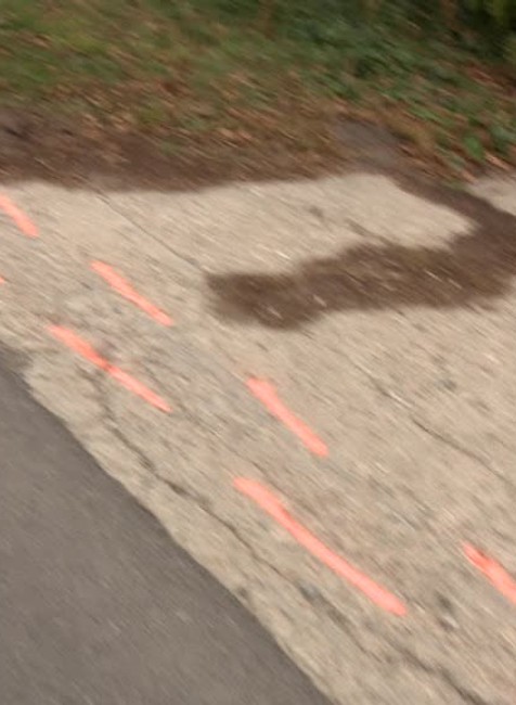 KN Kamionista nafúkal353