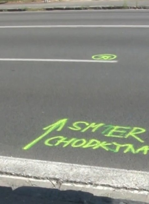 kolobezkar usmrtil chodkynu1