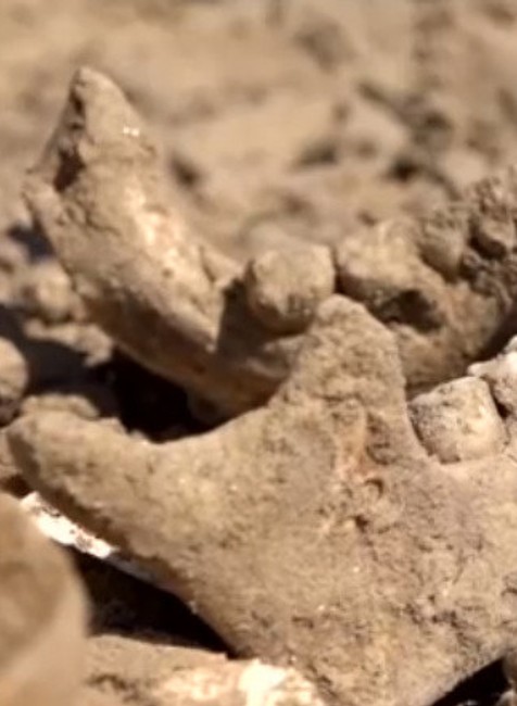 FOTO: Na poli pri Galante našli ľudské kosti. Rozuzlenie bolo nečakané