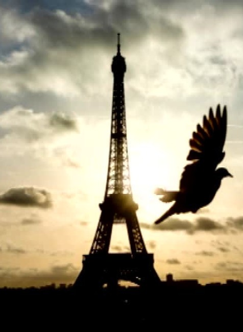 Eiffelova veža - rozpohybovaná foto132