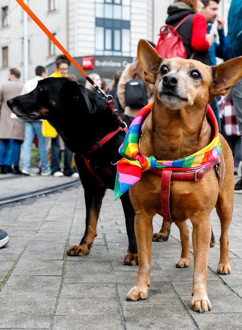 14102022_pochod_5908411