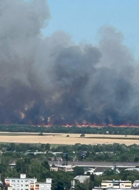 thumbnail_image0 (cropped)