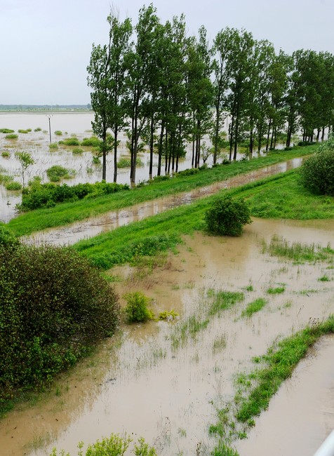 pretrhnuta hradza pri trebisove ondava