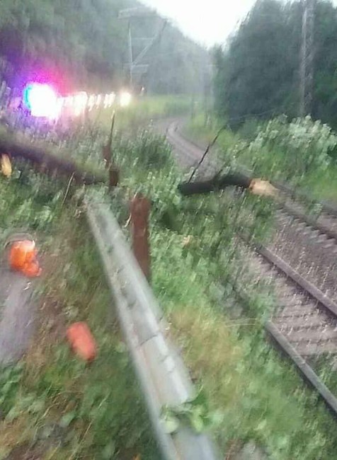 Rýchlik smerujúci do Bratislavy narazil do padnutého stromu. Trať je uzavretá 