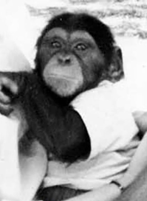 V roku 1966 ju zachránili ako mláďa. S ľuďmi si vytvorila priateľské puto.