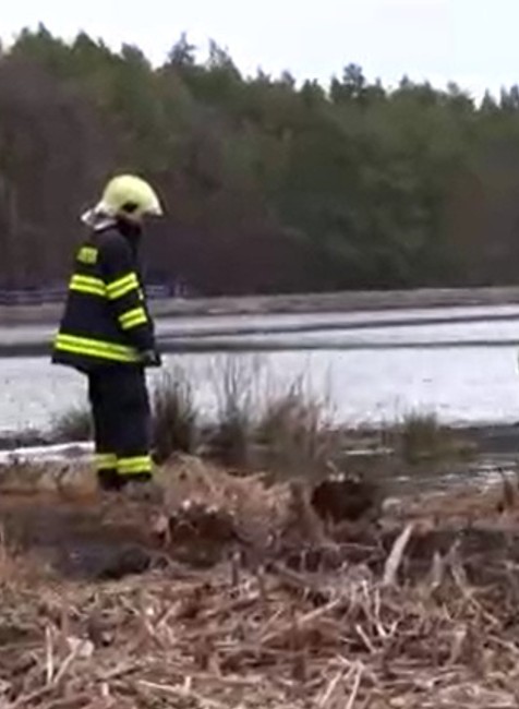 Rybári objavili fialový potok