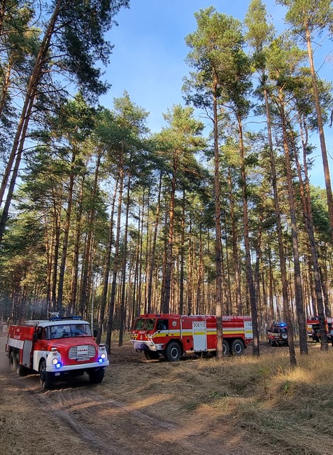 WhatsApp Image 2024-09-03 at 17.12.05