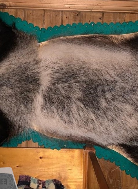 412702841_753604833471754_816011962994488423_n