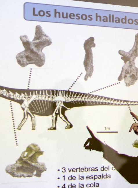 V Argentíne objavili najväčšieho dinosaura 1