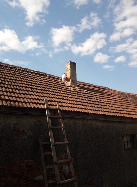 Košickí hasiči zachránili kozičku zo strechy.