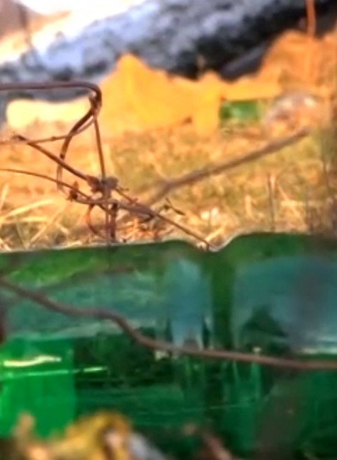 Zima si už vyžiadala tri obete. V Prešove majú vešiak, ktorý zachraňuje životy