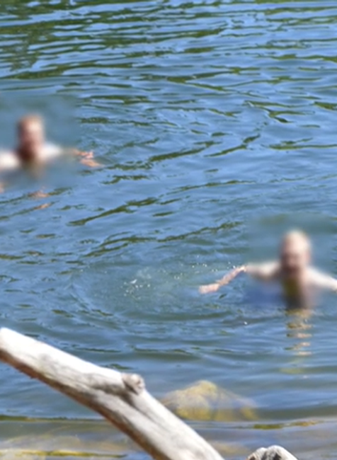 Screenshot 2024-08-10 180452