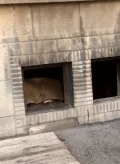 Pri požiari bratislavskej bytovky zomrel muž. 