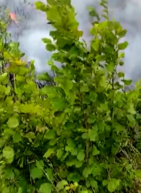 [multi] VSTUP Poziar od vlaku 374