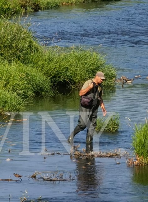 Úhyn rýb na rieke Hron