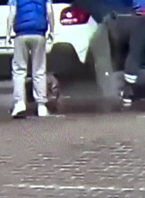 [multi] Muž umýval psa v autoumyvárni. Podľa veterinára môže ísť o týranie 1948