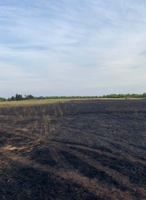 Hasiči zachraňovali státisíce životov. Požiar trávnatého porastu ohrozoval 80 rodín včiel