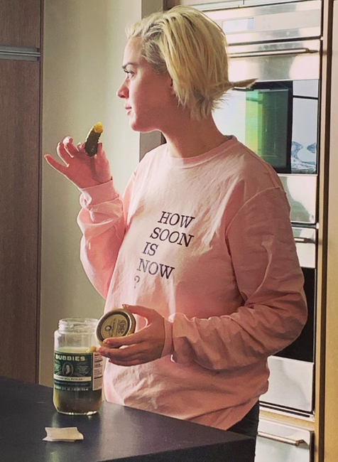 Screenshot_2020-07-13 KATY PERRY ( katyperry) • Fotky a videá na Instagrame(6)