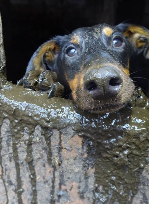 Chovná stanica v Poľsku