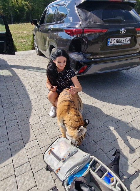 IMG-e05f368efb7ecf4ea3768d6c26221752-V