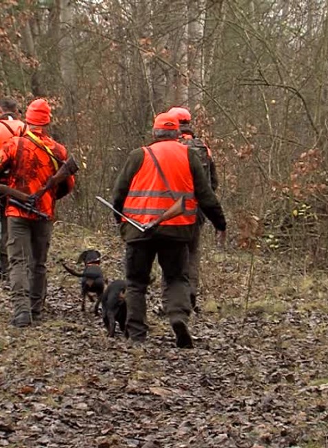 [multi] Polovnici vynimka 3759