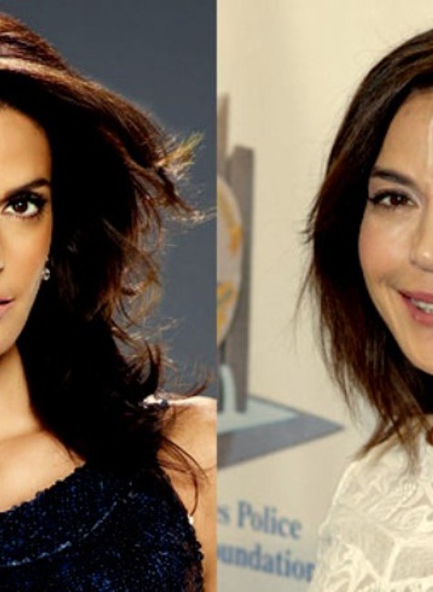 Teri Hatcher ako Susan Meyer